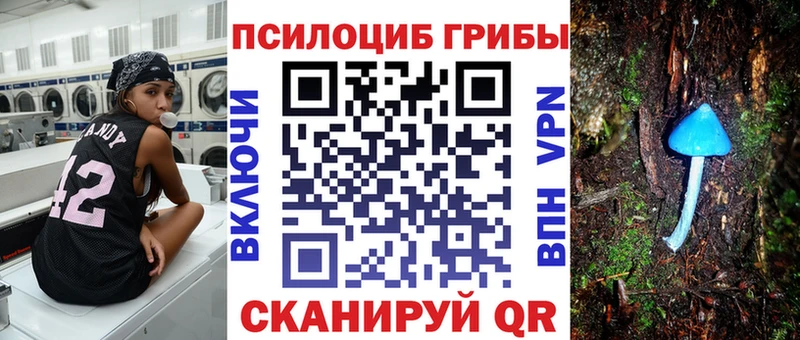 Купить  Кисловодск  Псилоцибиновые грибы мицелий 